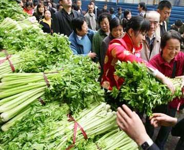 推广节能砖成为农村节能减排新途径