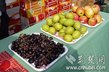 2018新疆亚欧农产品与食品加工、包装技术设备展览会