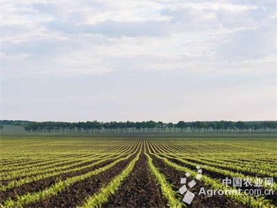 土地托管等农业社会化服务面积逾1.4亿亩